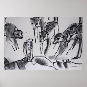 Poster Cobra assaillant de Meerkats - copie d'art