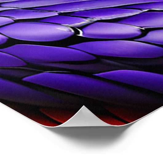 Poster Cobra serpent avec écailles vertes et violettes vi (Coin)