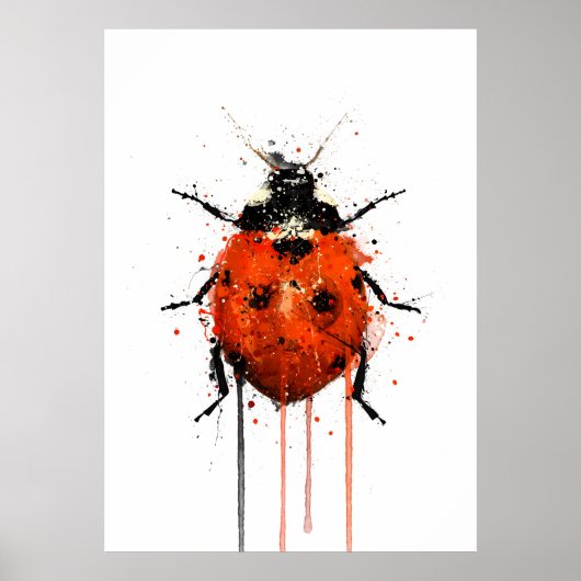 Poster Coccinelle (Devant)