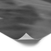 Poster Coccinelle (Coin)