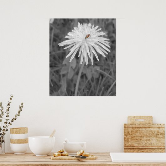 Poster Coccinelle (Cuisine)