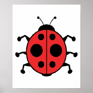 Poster coccinelle