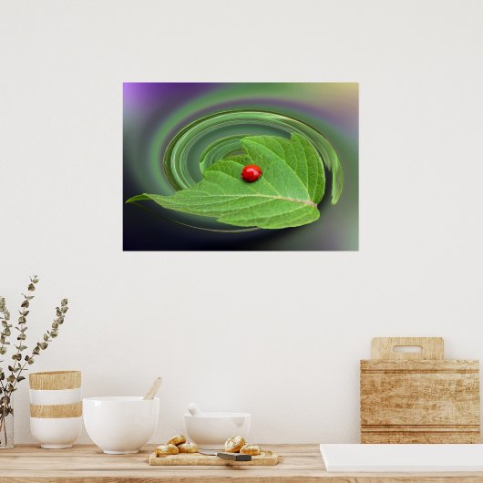 Poster coccinelle (Cuisine)