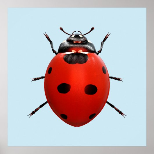 Poster Coccinelle Chanceuse (Devant)