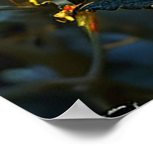 Poster coccinelle dynamique (Coin)