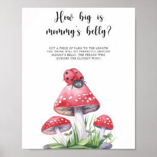 Poster Coccinelle - quelle est la taille du ventre de mam