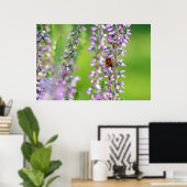 Poster Coccinelle sur des fleurs violettes (Bureau à domicile)