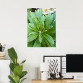 Poster Coccinelle sur fleurs (Bureau à domicile)