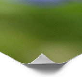 Poster Coccinelles chanceuses (Coin)