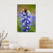 Poster Coccinelles chanceuses (Cuisine)