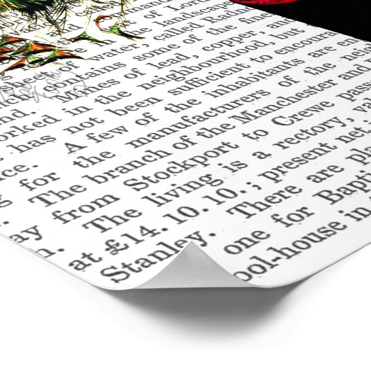 Poster Coche sur boîte postale (Coin)