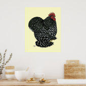 Poster Cochin:  Black Mottle (Cuisine)