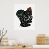 Poster Cochin : Motte noire (Cuisine)