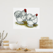 Poster Cochin : Splash Bantams (Cuisine)