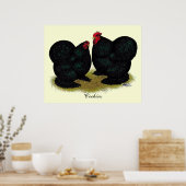 Poster Cochins Black Bantam Paire (Cuisine)