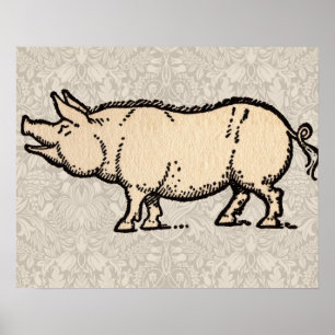 Poster Cochon Antique Porc Mignon Vintage