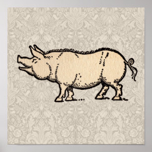 Poster Cochon Antique Porc Mignon Vintage