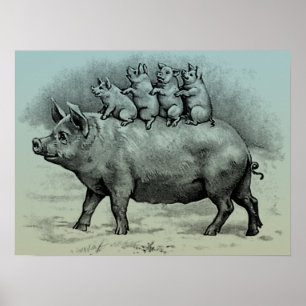 Poster Cochon avec porcelet