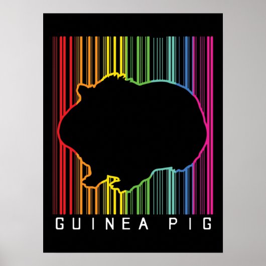 Poster Cochon de Guinée (Devant)