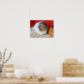 Poster Cochon de Guinée dans une cage (Cuisine)