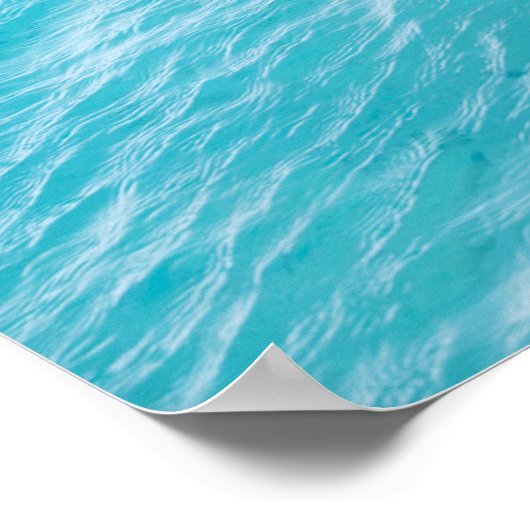 Poster Cochon de natation d'Exuma (Coin)