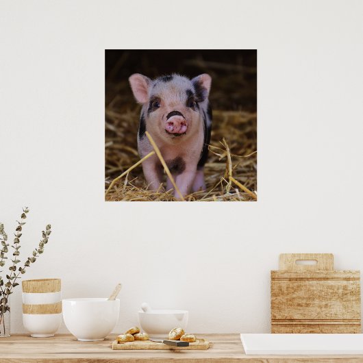 Poster Cochon doux (Cuisine)