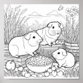 Poster Cochons d'Inde Animaux de Compagnie Mignons à Colo (Devant)