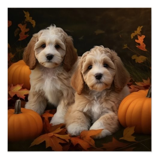 Poster Cockapoo Puppy Citrouille d'automne (Devant)