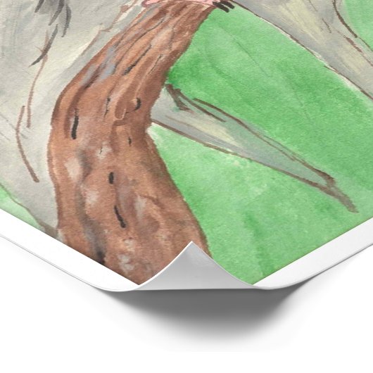 Poster Cockateils (Coin)