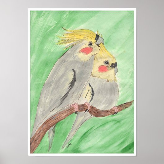 Poster Cockateils (Devant)