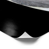 Poster Cockatiel d'oiseaux animaux domestiques (Coin)