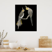 Poster Cockatiel Pair - Nymphicus hollandicus sur Black (Cuisine)