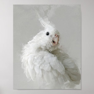 Poster Cockatiel Portrait 012
