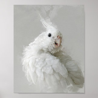 Poster Cockatiel Portrait 012