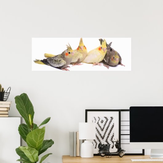 Poster Cockatiles (Bureau à domicile)