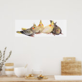 Poster Cockatiles (Cuisine)