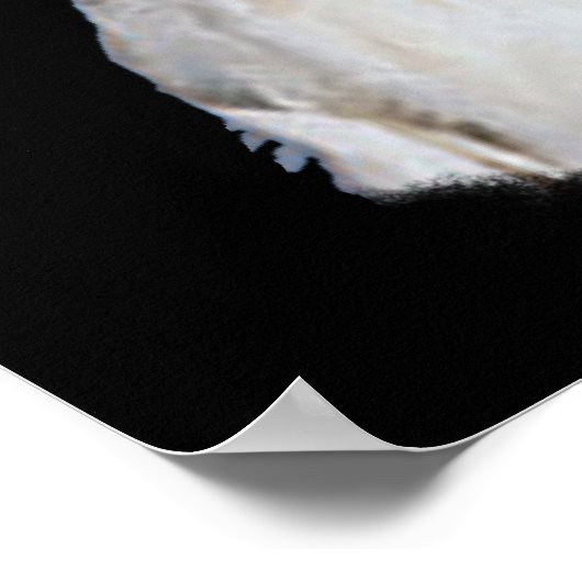 Poster Cockatoo 24x36" (Coin)