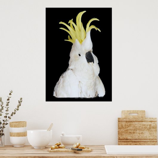 Poster Cockatoo 24x36" (Cuisine)