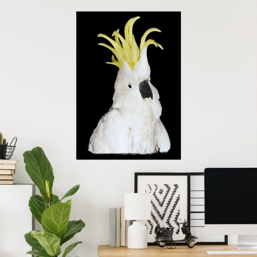 Poster Cockatoo 24x36" (Bureau à domicile)