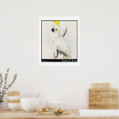 Poster Cockatoo à faible teneur en soufre d'Edward Lear (Cuisine)