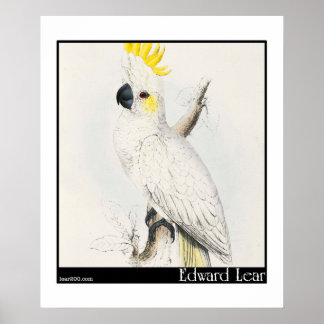 Poster Cockatoo à faible teneur en soufre d'Edward Lear