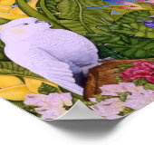 Poster Cockatoo au paradis (Coin)
