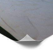 Poster Cockatoo blanc exotique (Coin)