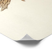 Poster Cockatoo du leader par Elizabeth Gould (Coin)