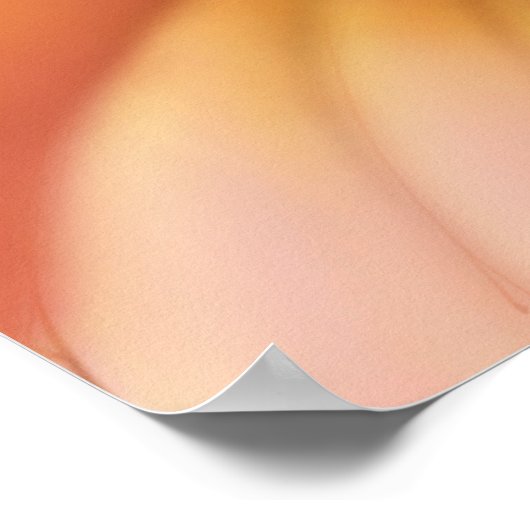 Poster Cockatoo Moluccan (Coin)