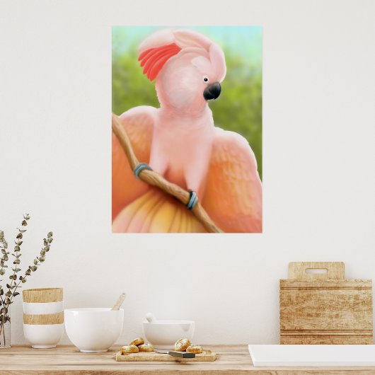 Poster Cockatoo Moluccan (Cuisine)