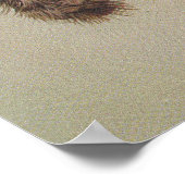 Poster Cockatoo noir à queue jaune (Coin)