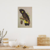 Poster Cockatoo noir à queue jaune (Cuisine)