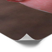 Poster Cockatoo rose (Coin)