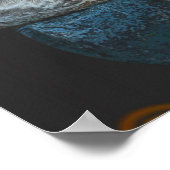 Poster Cockatoo rose Molucca Parrot Art (Coin)